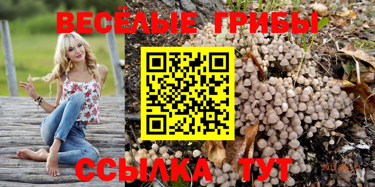 Галлюциногенные грибы мицелий  Вход с VPN  Анапа 